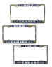 License Frames